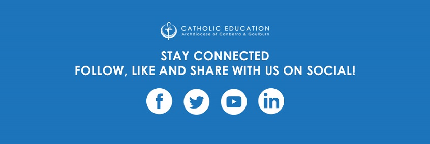 Follow us on Social Media